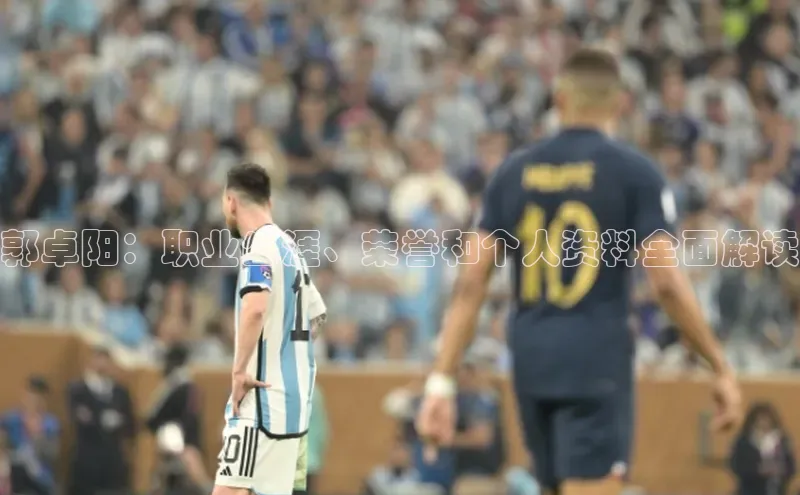 辉达娱乐下载官网极氪智能科技郭卓阳：职业生涯、荣誉和个人资料全面解读