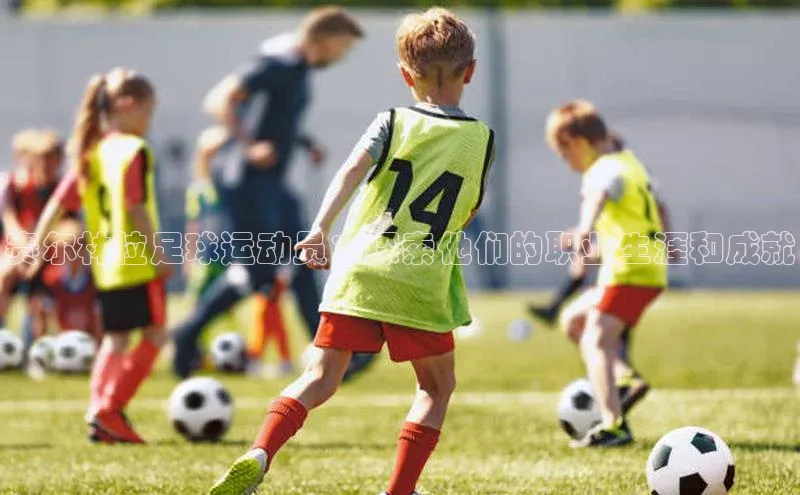 辉达娱乐app官网入口百度学术赛尔林拉足球运动员：探索他们的职业生涯和成就