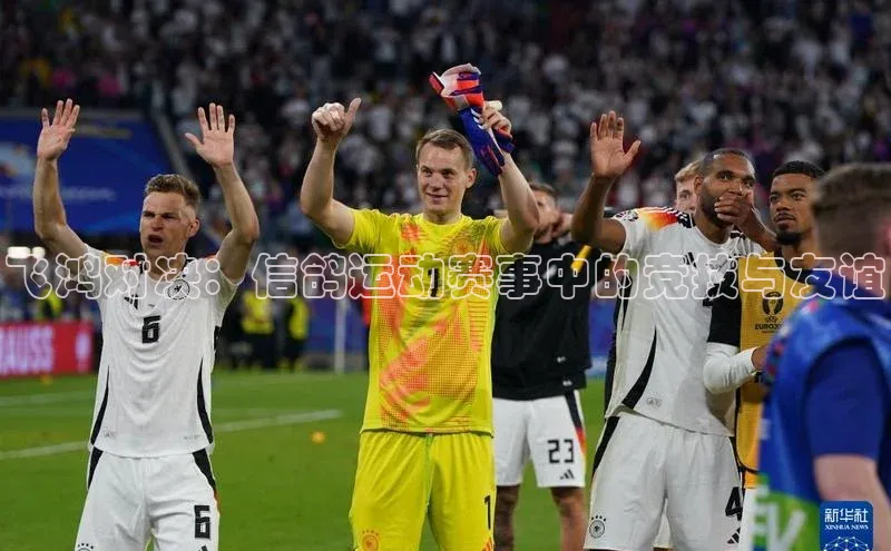 辉达App登录入口百度人工翻译飞鸿对决：信鸽运动赛事中的竞技与友谊