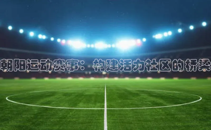 辉达娱乐平台百度手机助手朝阳运动赛事：构建活力社区的桥梁