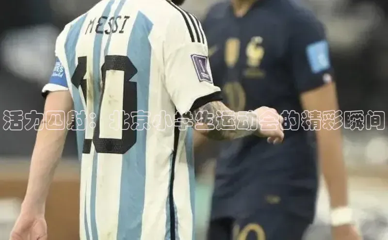 辉达注册官网入口登录百度百聘活力四射：北京小学生运动会的精彩瞬间