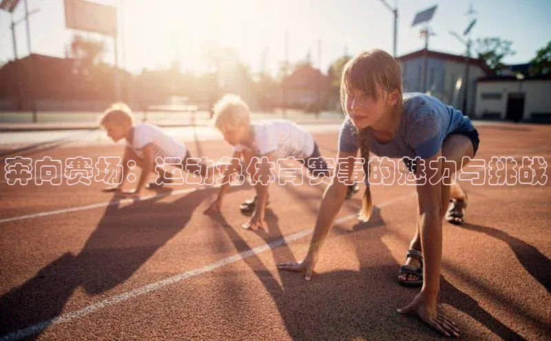 奔向赛场：运动兔体育赛事的魅力与挑战