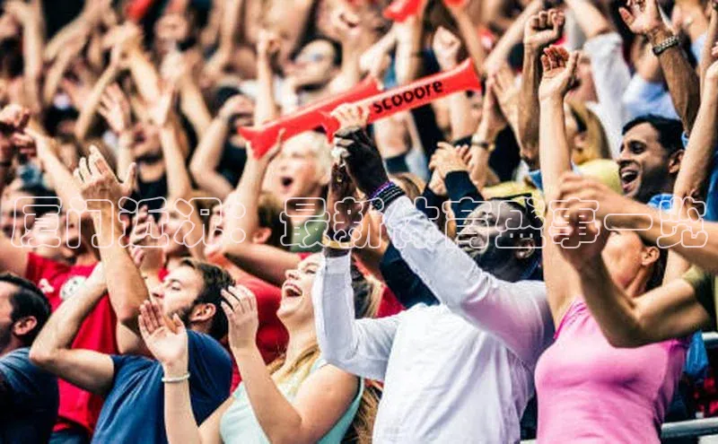 厦门近况：最新体育盛事一览