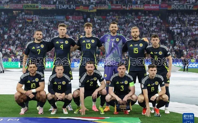 菏泽市市级运动会盛况：展现活力与团结的精神盛宴