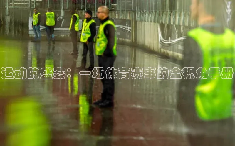 运动的盛宴：一场体育赛事的全视角手册