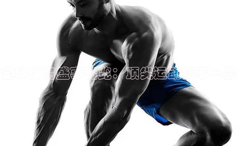 全球体育盛事概览：顶尖运动赛事一览