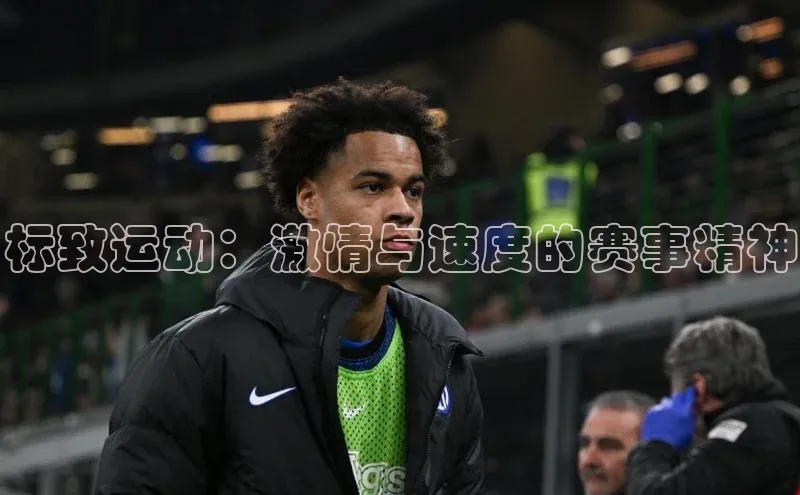 标致运动：激情与速度的赛事精神