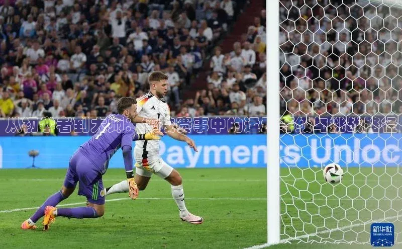 从初学者到大师：摔跤赛事中的运动等级与挑战路径