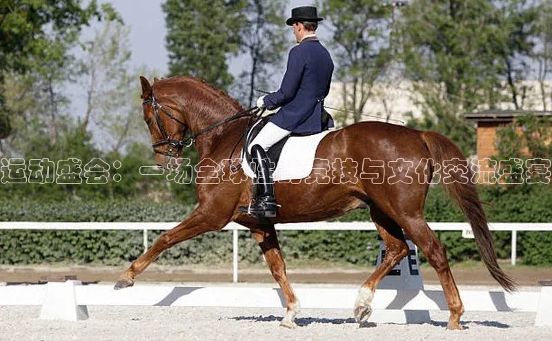 运动盛会：一场全球性的竞技与文化交流盛宴