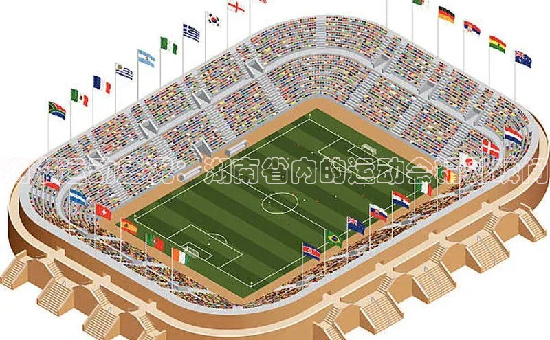 湖湘运动盛况：湖南省内的运动会精彩瞬间