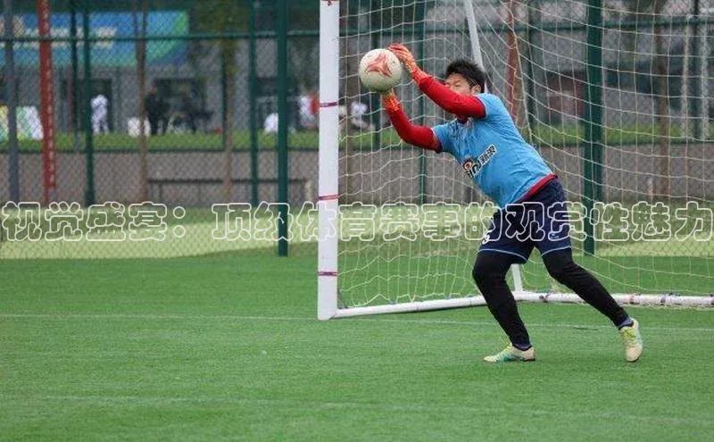 视觉盛宴：顶级体育赛事的观赏性魅力