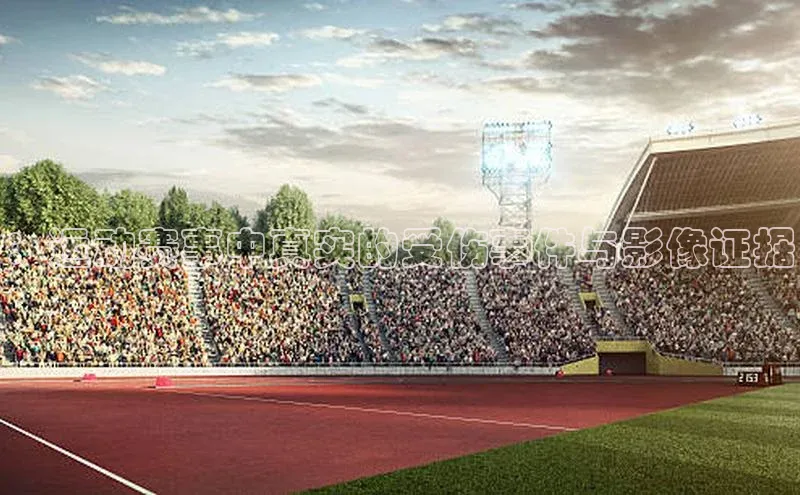 ：运动赛事中真实的受伤事件与影像证据