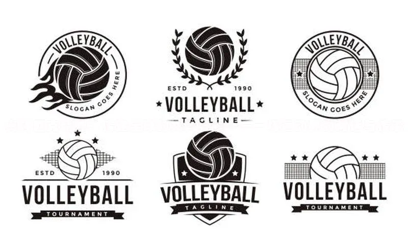 奥林匹克精神：传递全球的共同口号——一场运动界的对话与传承