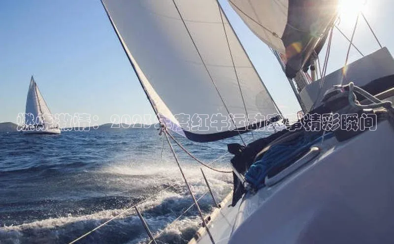 辉达娱乐app下载安装