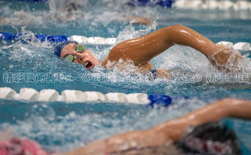 辉达App登录入口