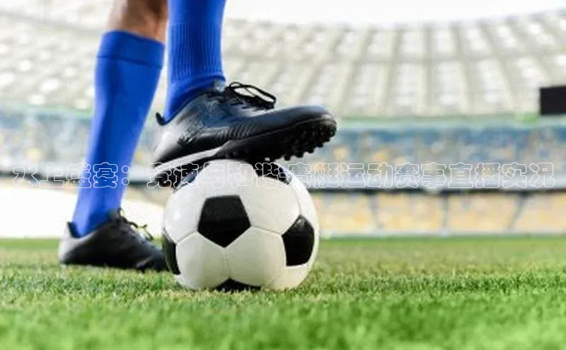 辉达娱乐app官网入口