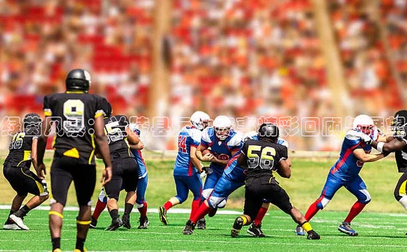 辉达平台登录入口