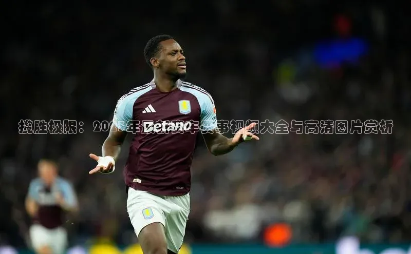 辉达娱乐彩票官网