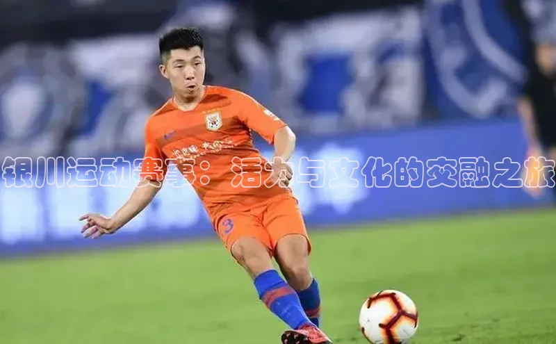 辉达娱乐app官网入口