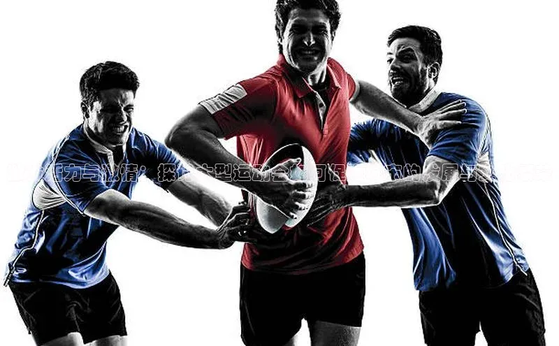 辉达娱乐下载官网