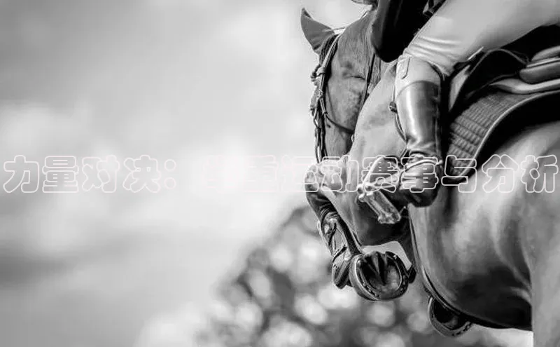 辉达娱乐app官网入口